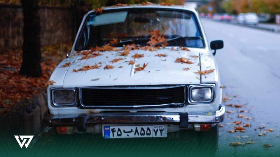 شرکت‌های لیزنیگی