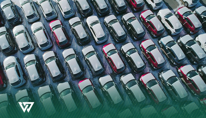 شرکت واردکننده خودرو دقیقاً چه نقشی دارد؟