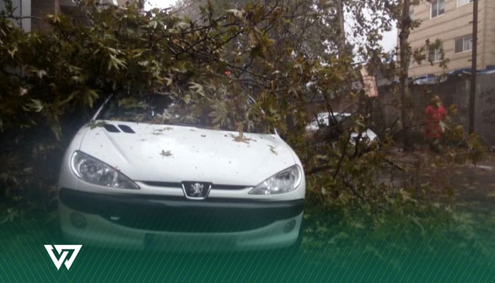 چطور می‌توان با وام ویکی‌شاپ پژو ۲۰۶ خرید؟