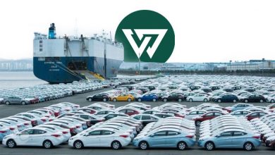 واردات خودرو برای ایرانیان مقیم خارج؛ هر فرد فقط یک خودرو می‌تواند وارد کند