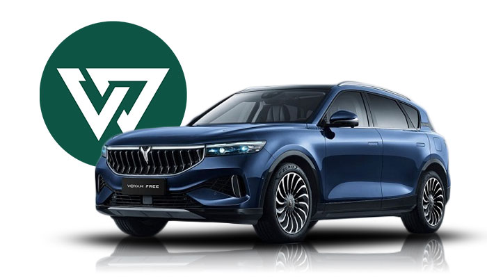 قیمت وویا فری ۲۰۲۶ در خرداد ۱۴۰۵ به ۱۱ میلیارد و ۲۰۰ میلیون تومان رسید