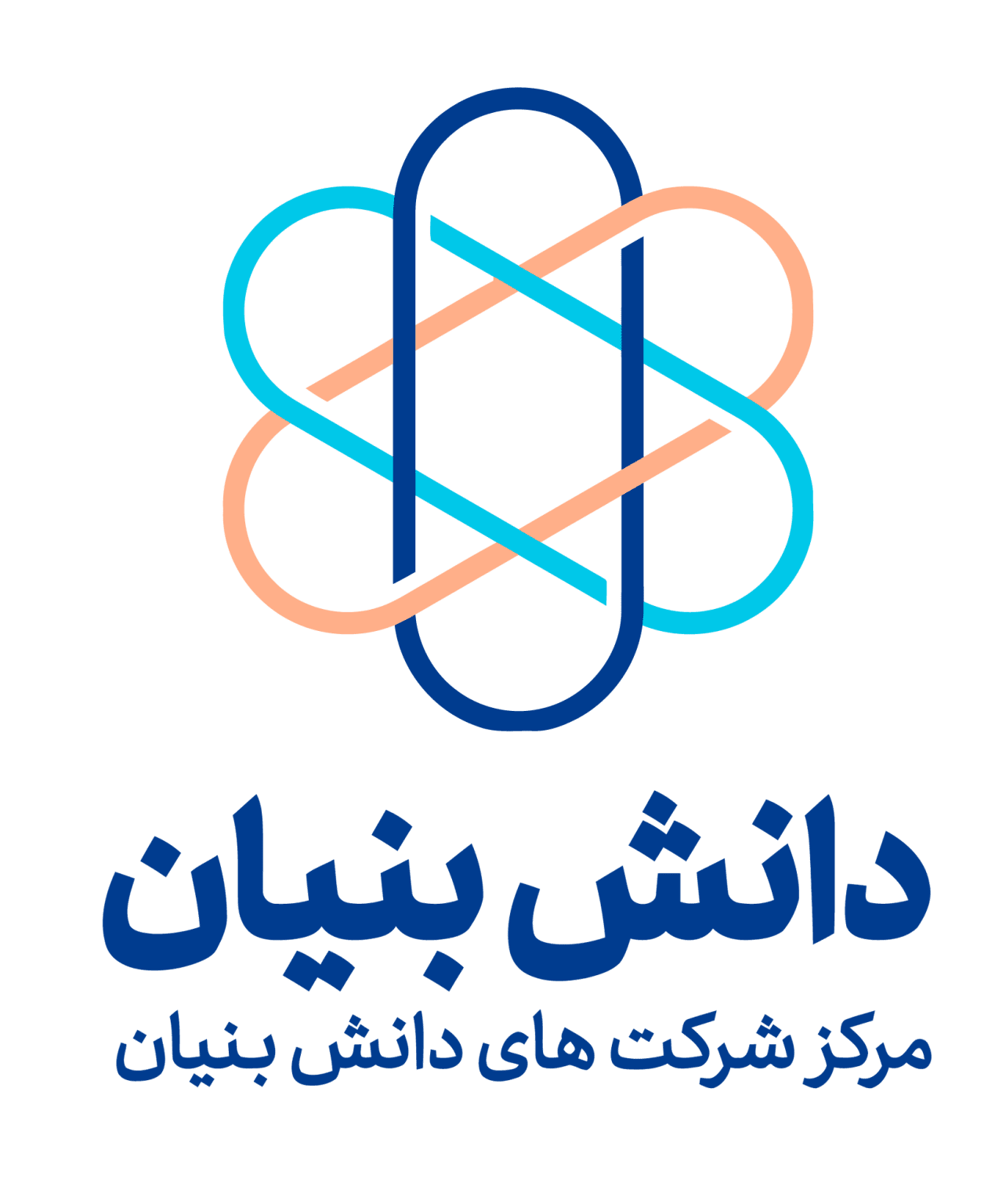 مجوز دانش بنیان ویکی شاپ