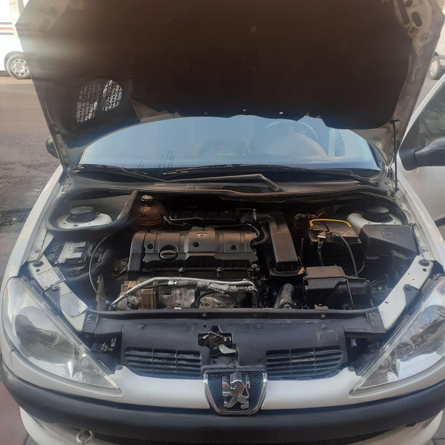 پژو 206 SD V8 - 1390