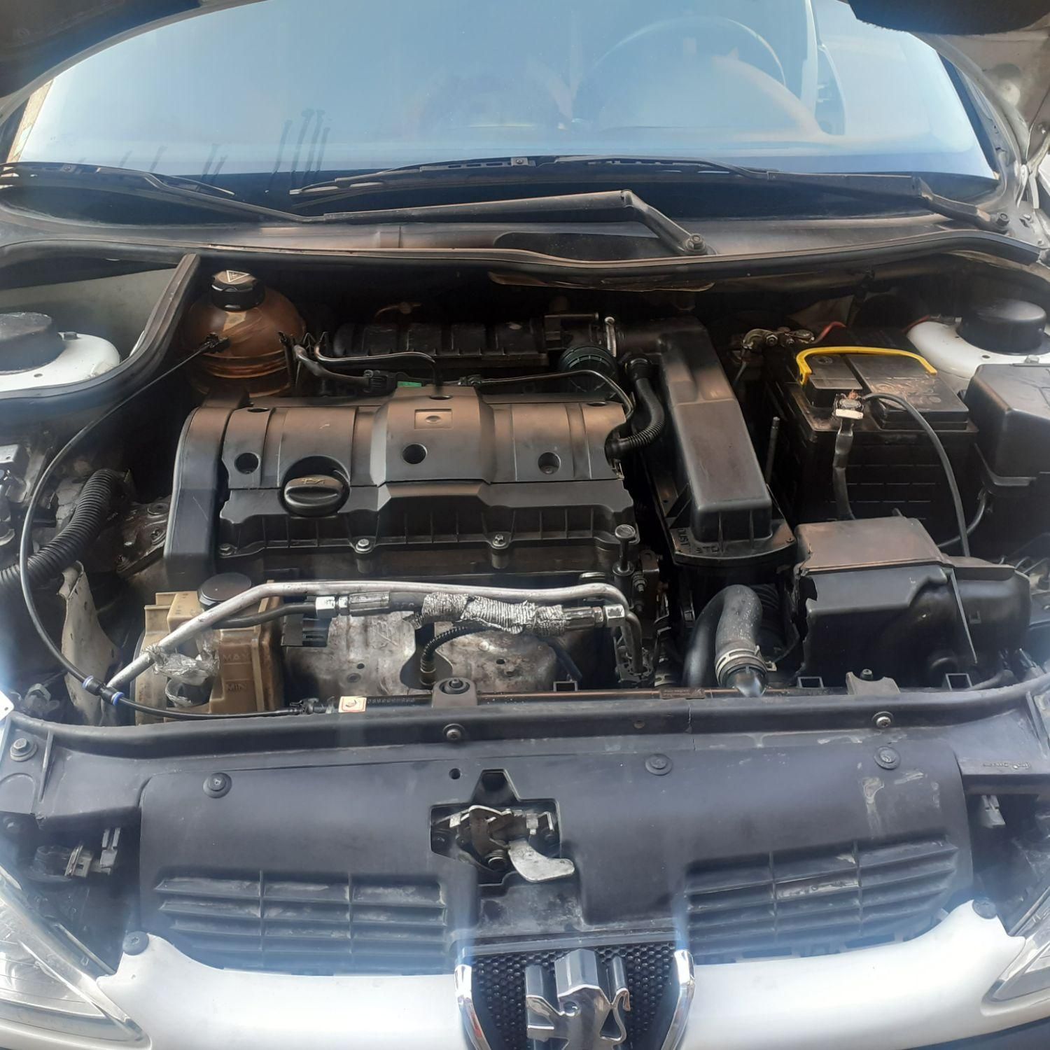 پژو 206 SD V8 - 1390