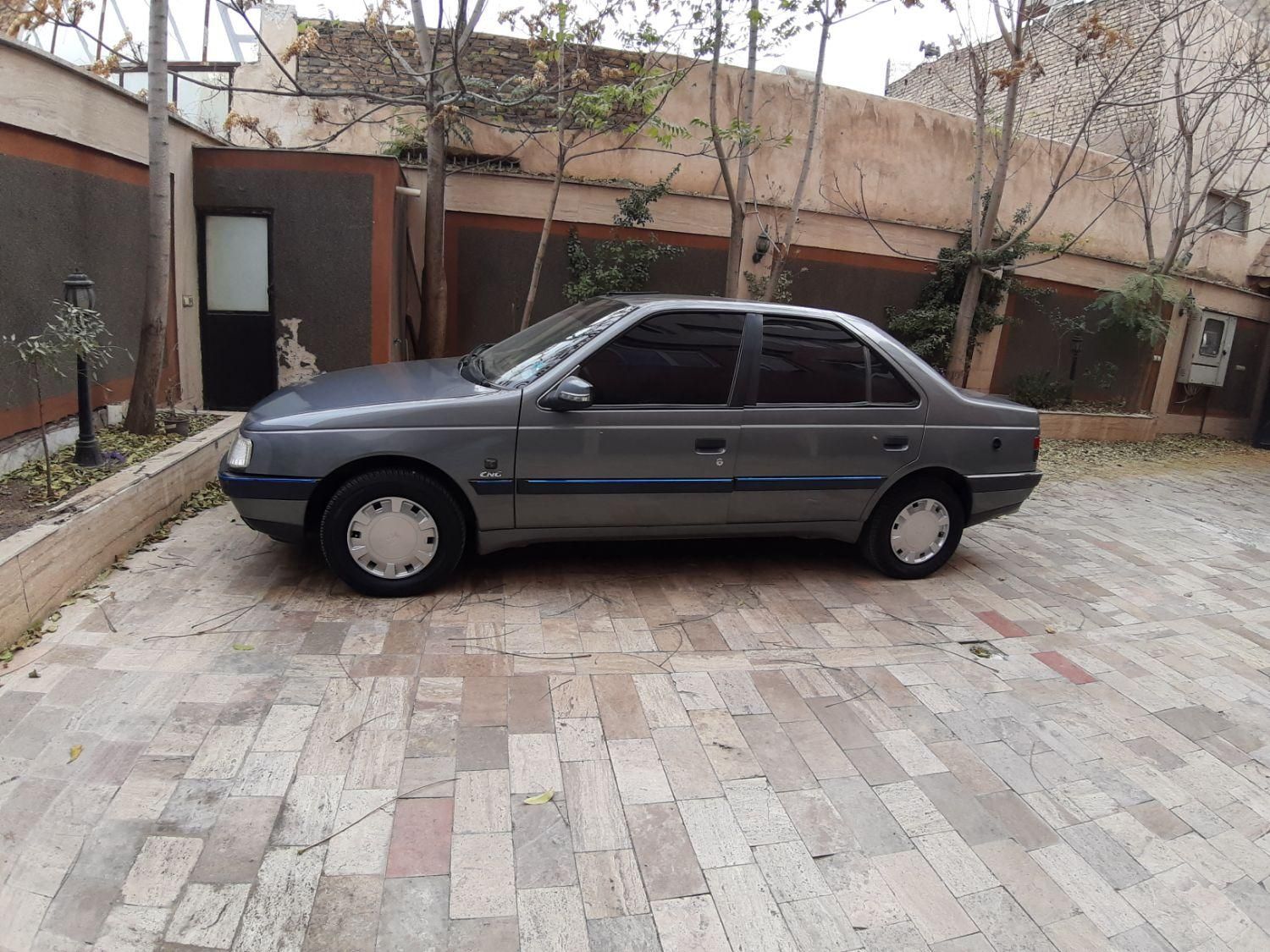 پژو 405 GL - دوگانه سوز CNG - 1389