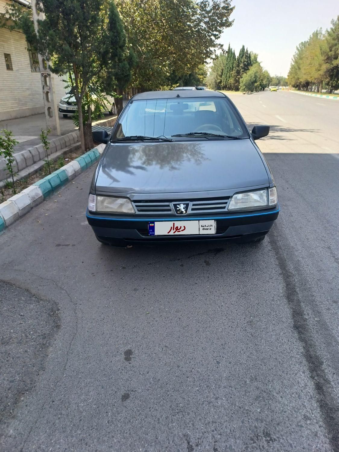 پژو 405 GL - دوگانه سوز CNG - 1391