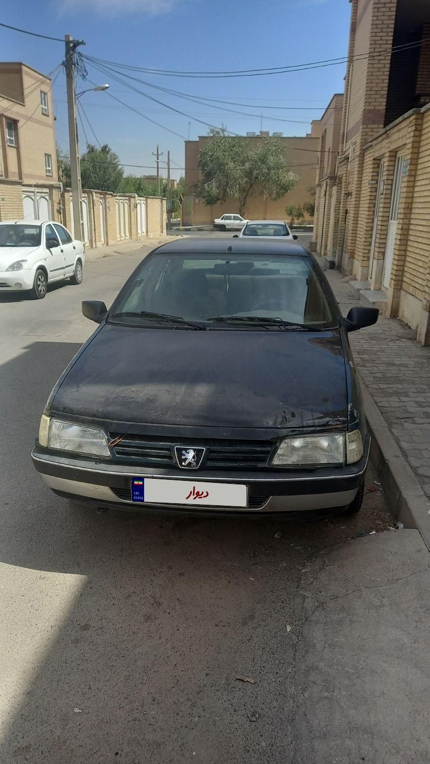 پژو RD دوگانه سوز CNG - 1385