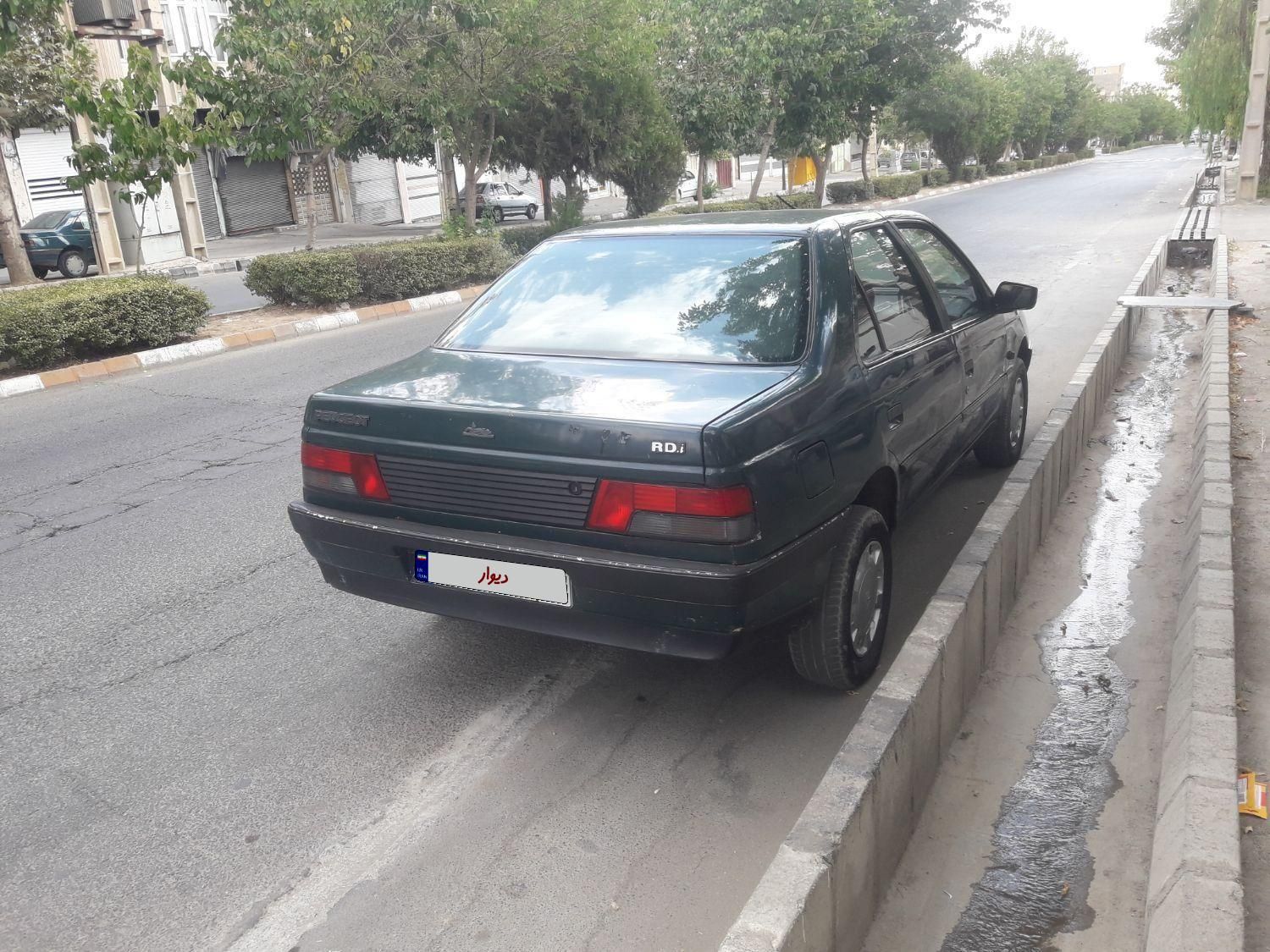 پژو RD دوگانه سوز CNG - 1383