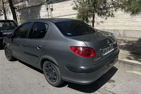 پژو 206 SD V8 - 1390