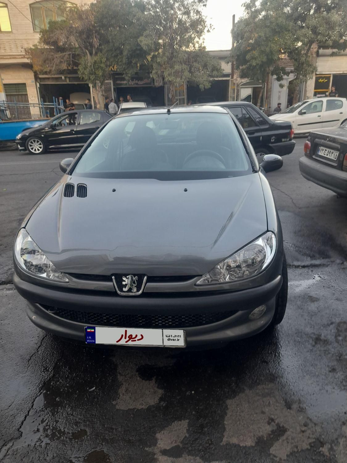 پژو 206 SD V8 - 1388