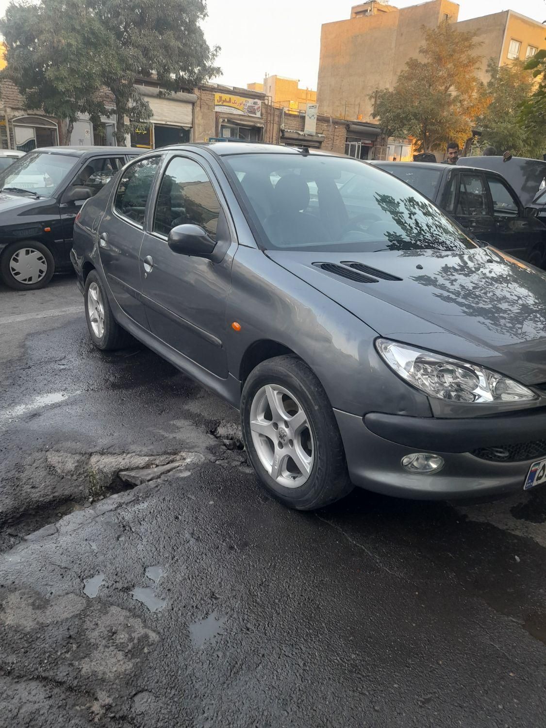 پژو 206 SD V8 - 1388