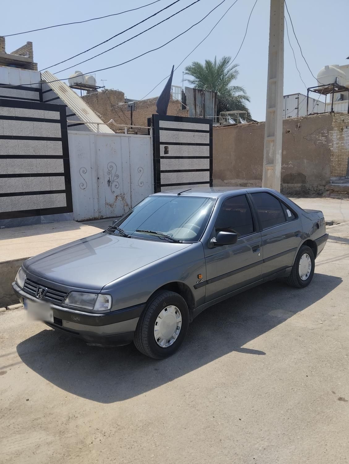 پژو 405 GL - دوگانه سوز CNG - 1394