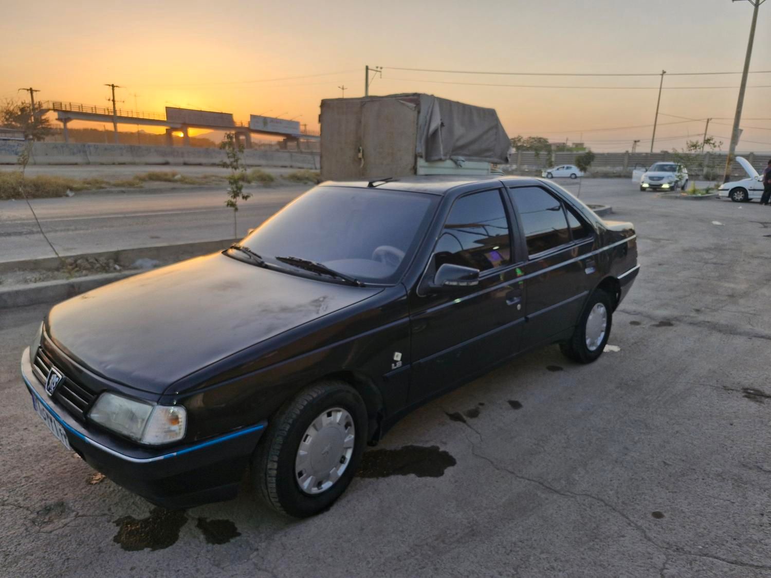 پژو 405 GL - دوگانه سوز CNG - 1390