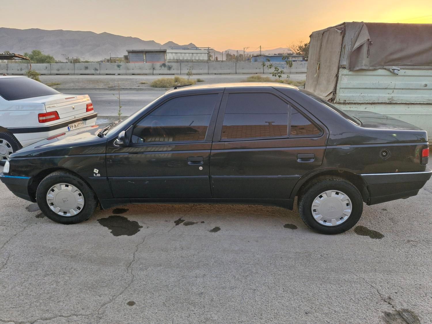 پژو 405 GL - دوگانه سوز CNG - 1390