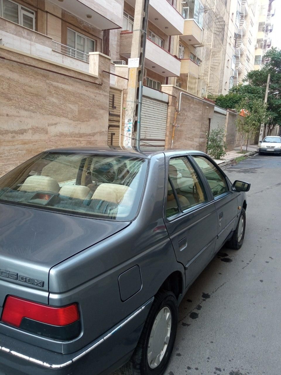 پژو 405 GL - دوگانه سوز CNG - 1396