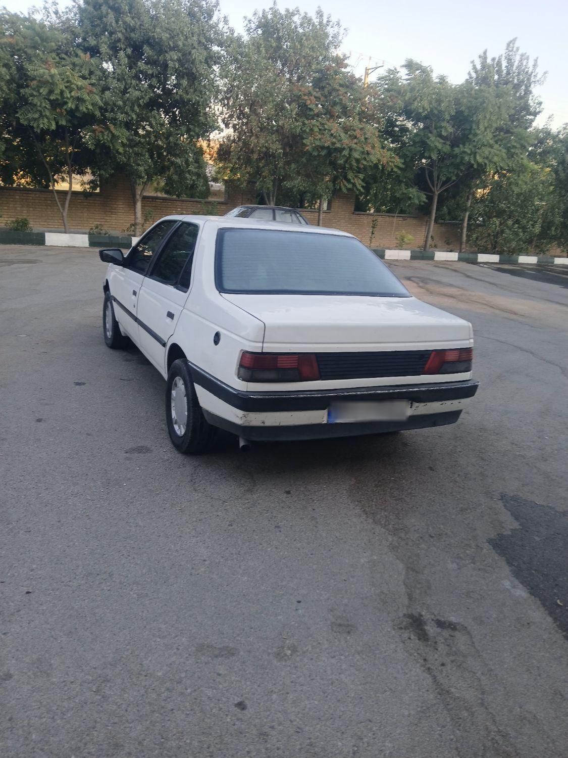 پژو RD دوگانه سوز CNG - 1384