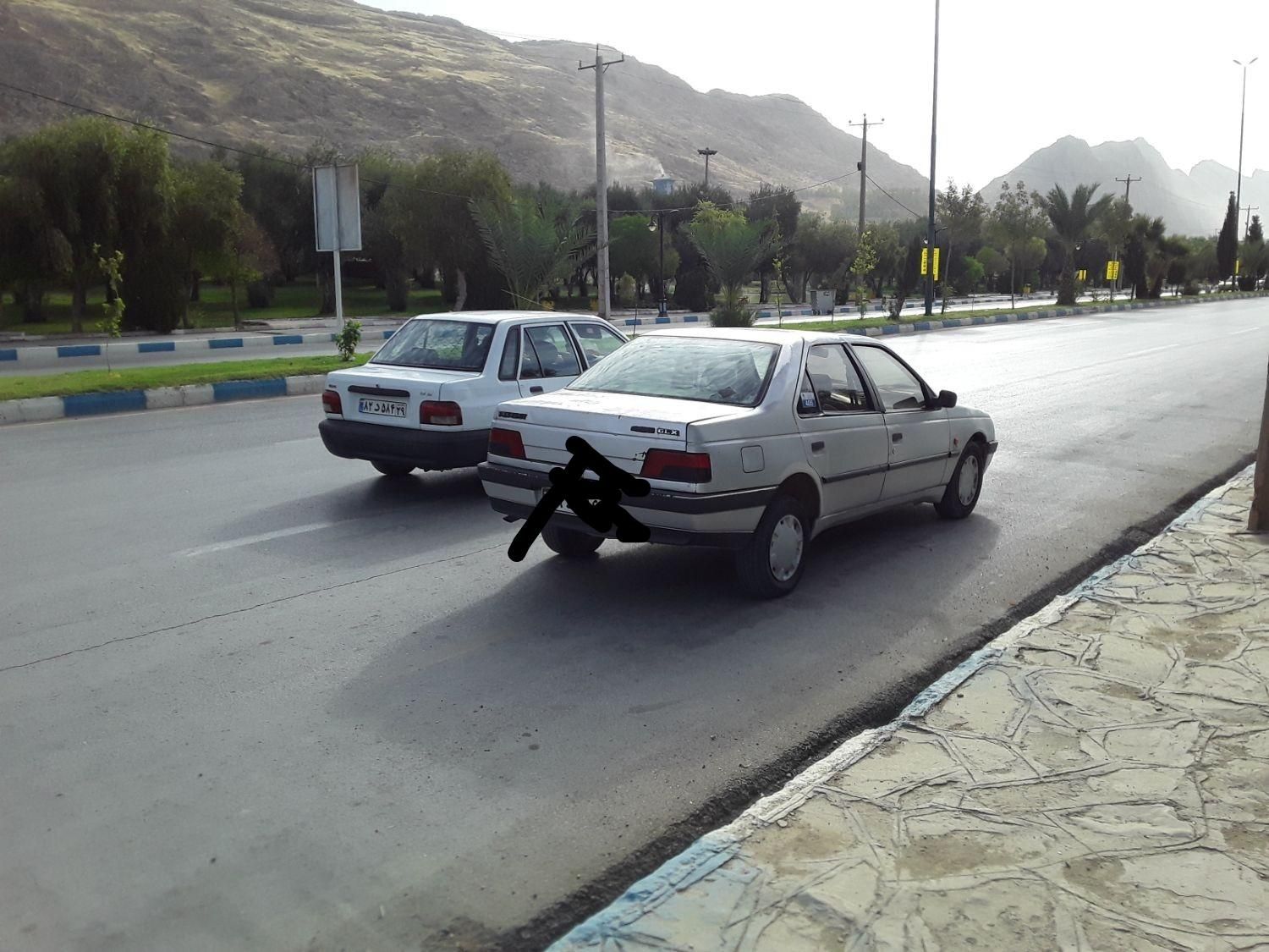 پژو 405 GL - دوگانه سوز CNG - 1389