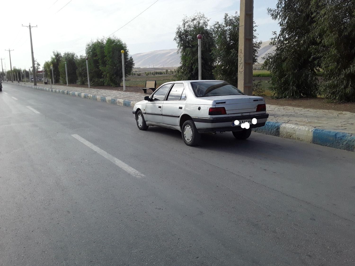 پژو 405 GL - دوگانه سوز CNG - 1389