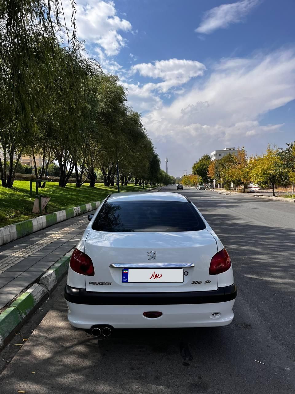 پژو 206 SD V8 - 1394