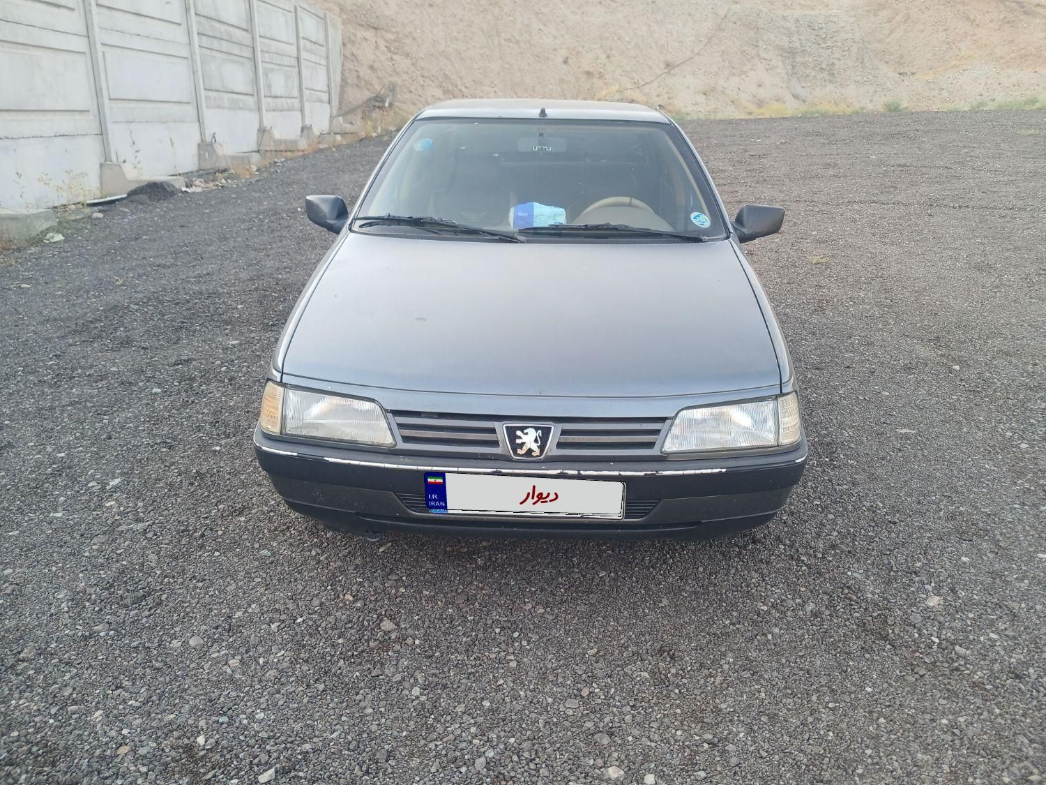 پژو 405 GL - دوگانه سوز CNG - 1393