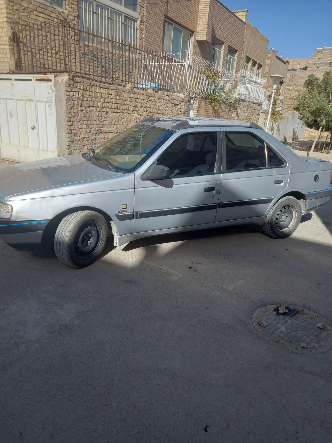 پژو 405 GL - دوگانه سوز CNG - 1390