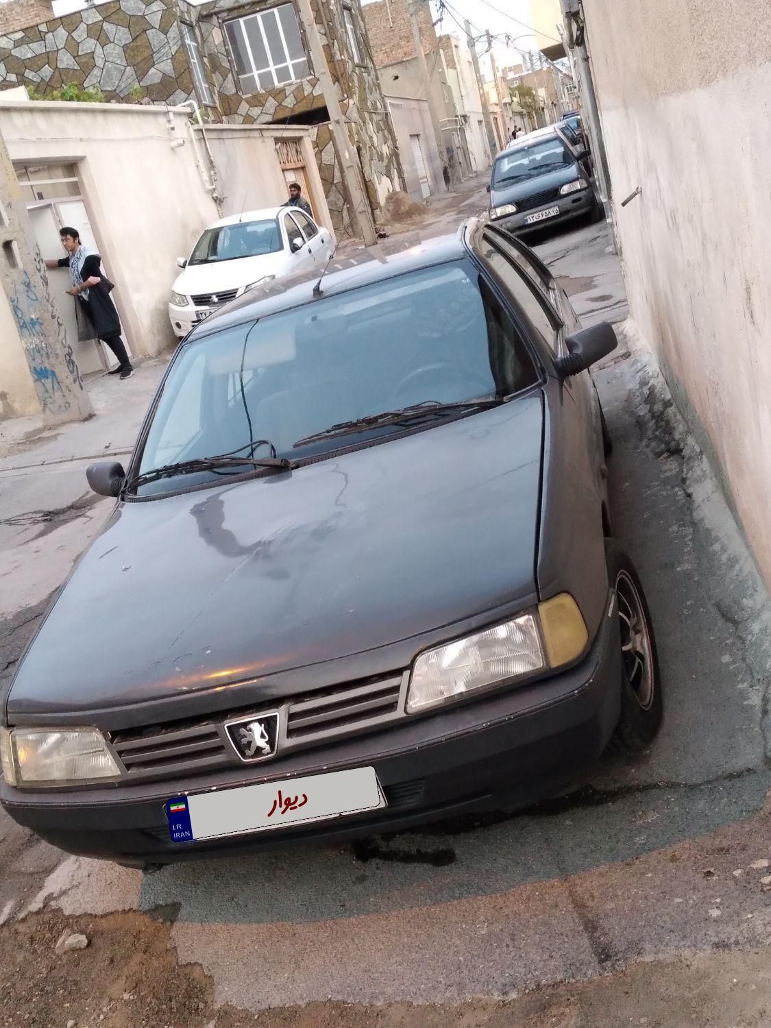 پژو 405 GLi - دوگانه سوز CNG - 1384