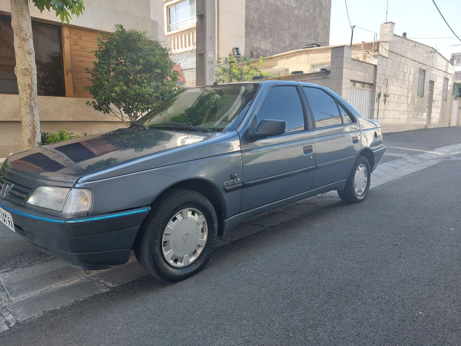 پژو 405 GLX - دوگانه سوز - 1393