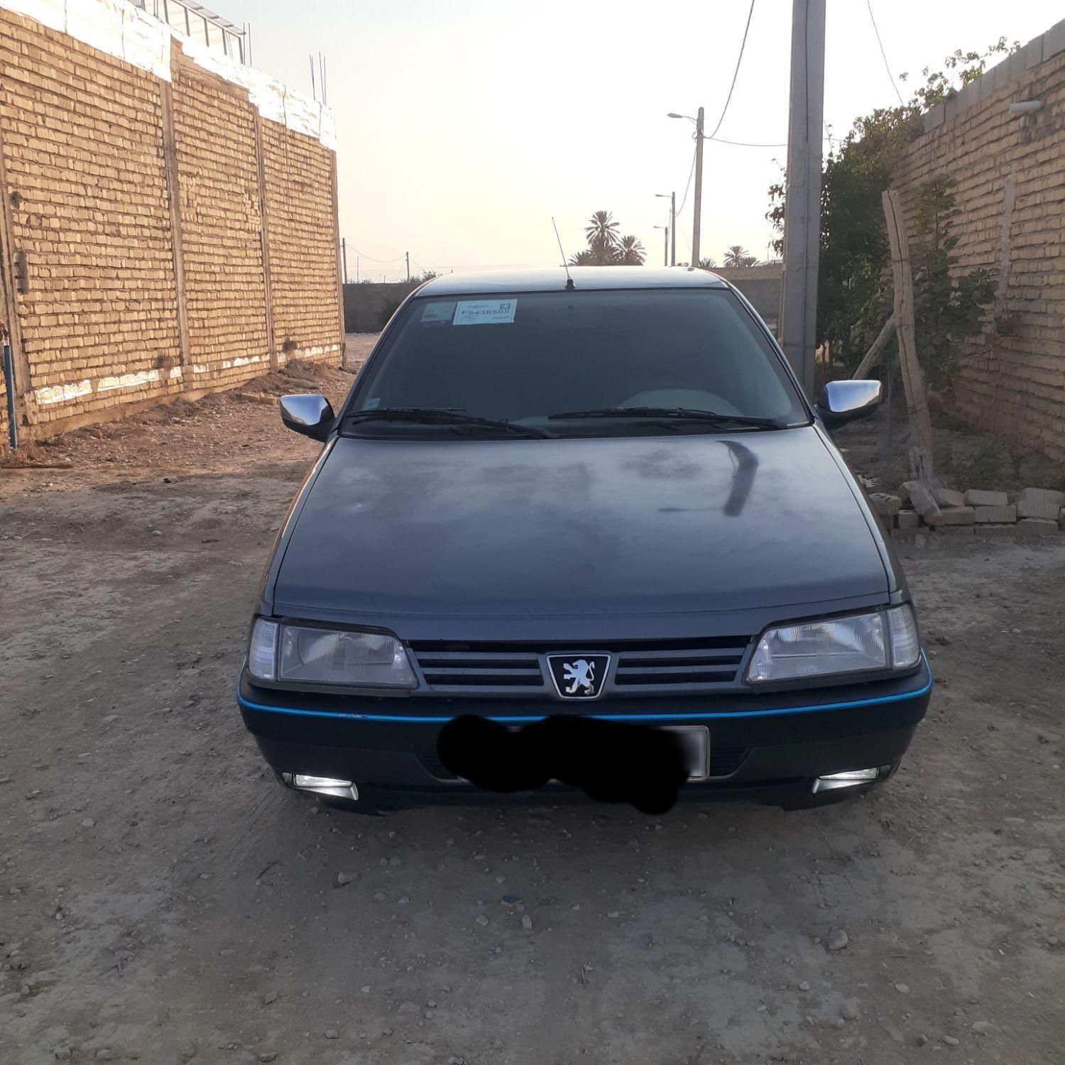 پژو 405 GL - دوگانه سوز CNG - 1393