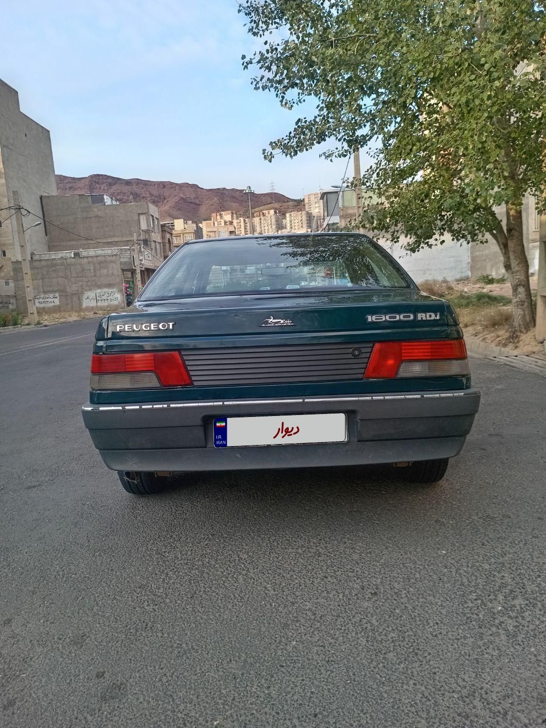 پژو RD دوگانه سوز CNG - 1384