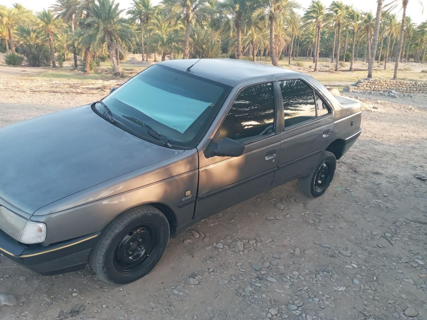 پژو 405 GL - دوگانه سوز CNG - 1389