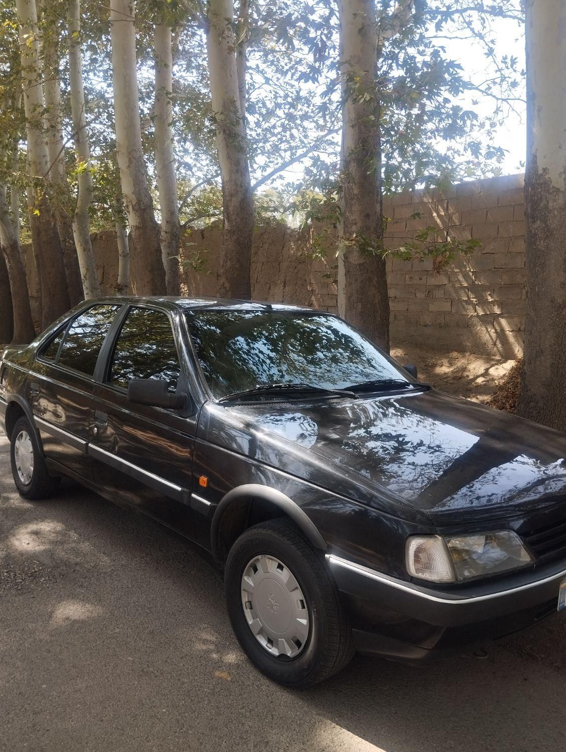 پژو 405 GL - دوگانه سوز CNG - 1390