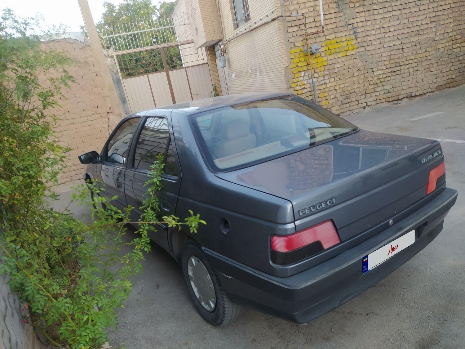 پژو 405 GL - دوگانه سوز CNG - 1393