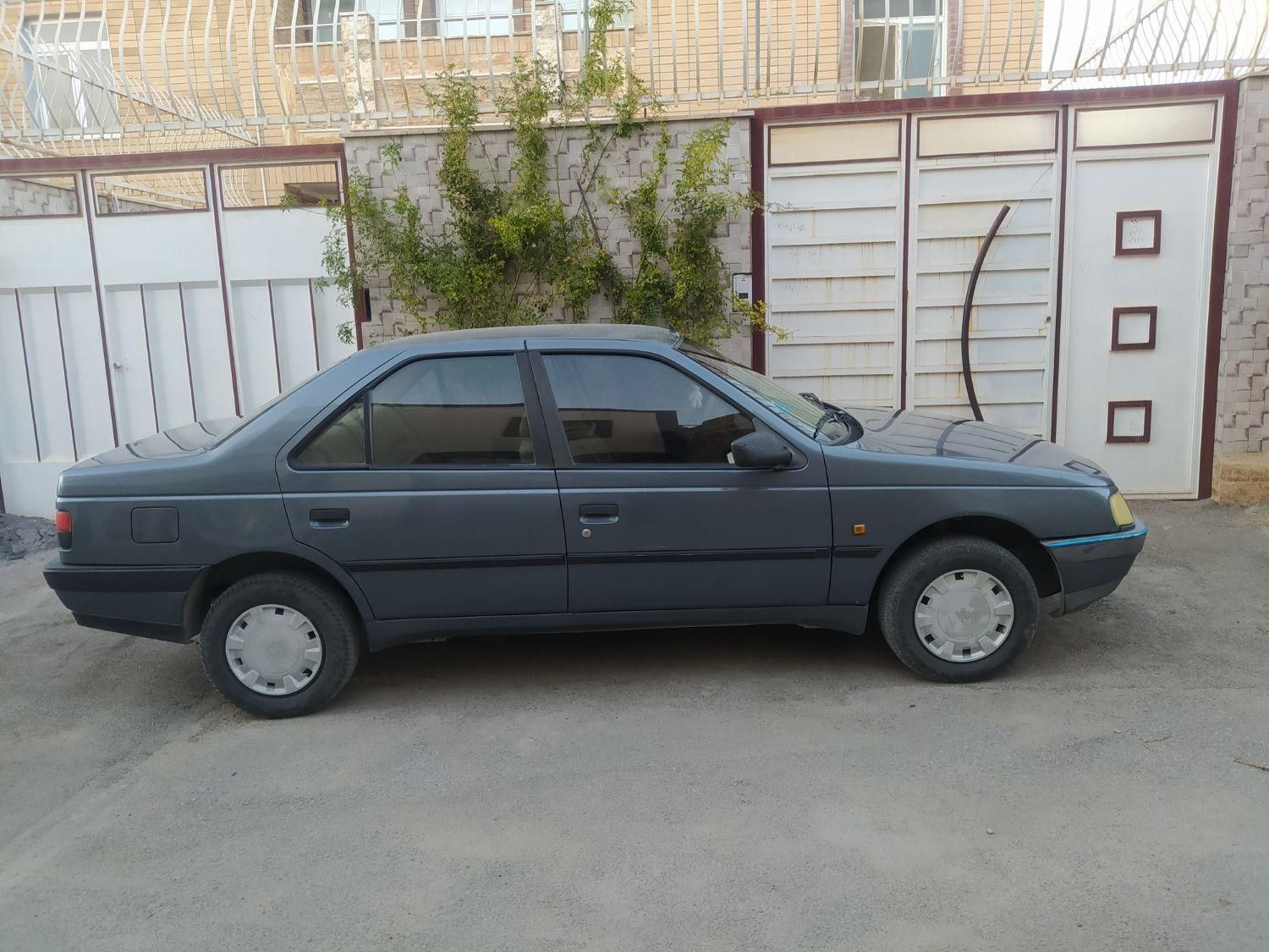 پژو 405 GL - دوگانه سوز CNG - 1393