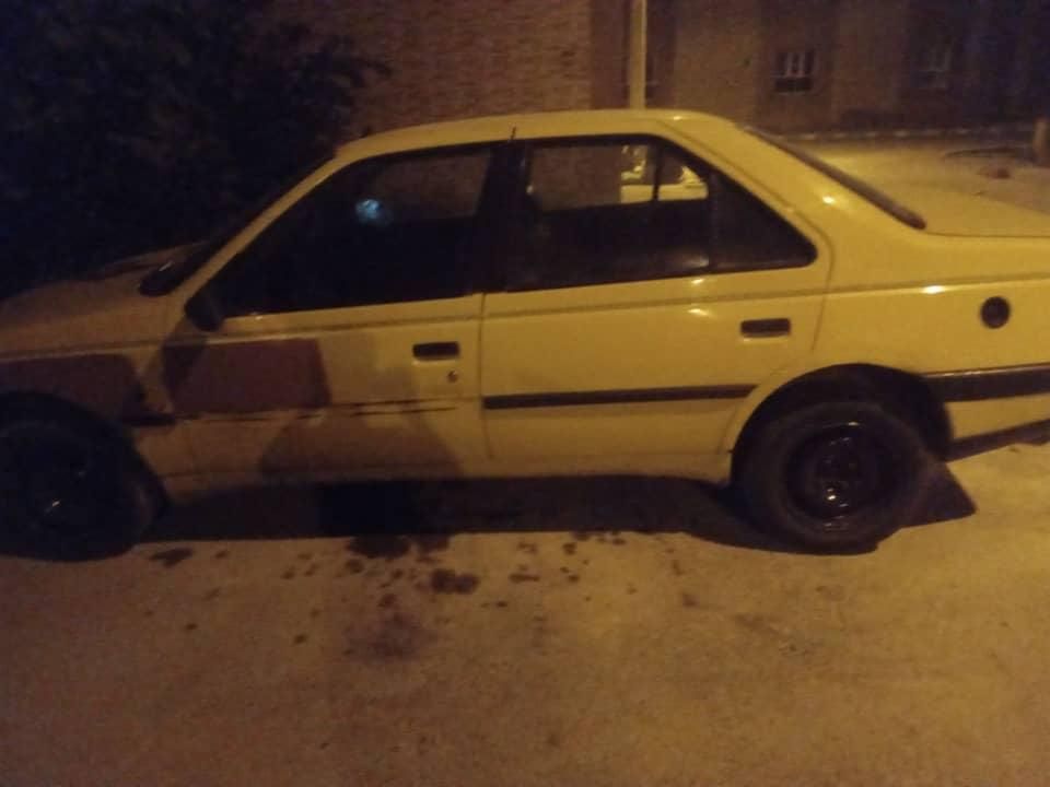 پژو 405 GL - دوگانه سوز CNG - 1390