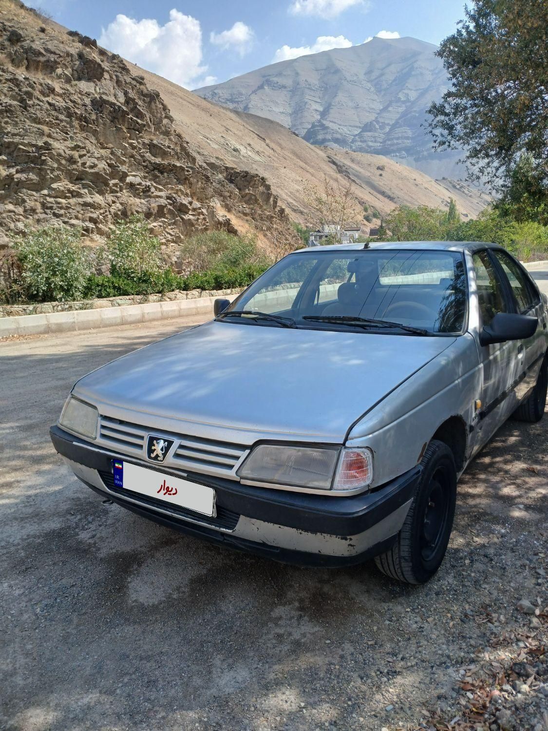 پژو 405 GL - دوگانه سوز CNG - 1391