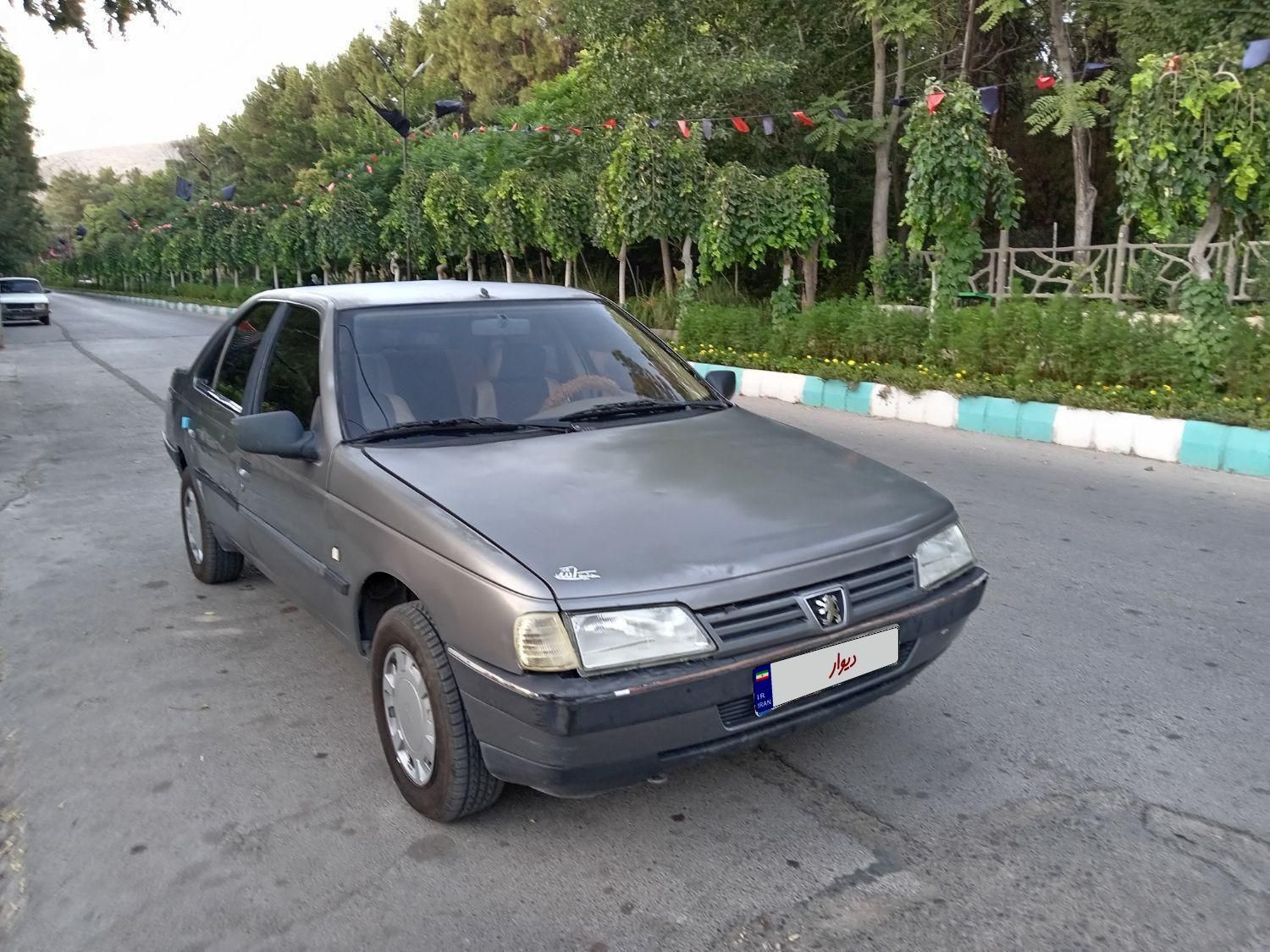 پژو 405 GL - دوگانه سوز CNG - 1391