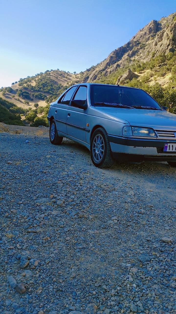 پژو 405 GLi - دوگانه سوز CNG - 1389