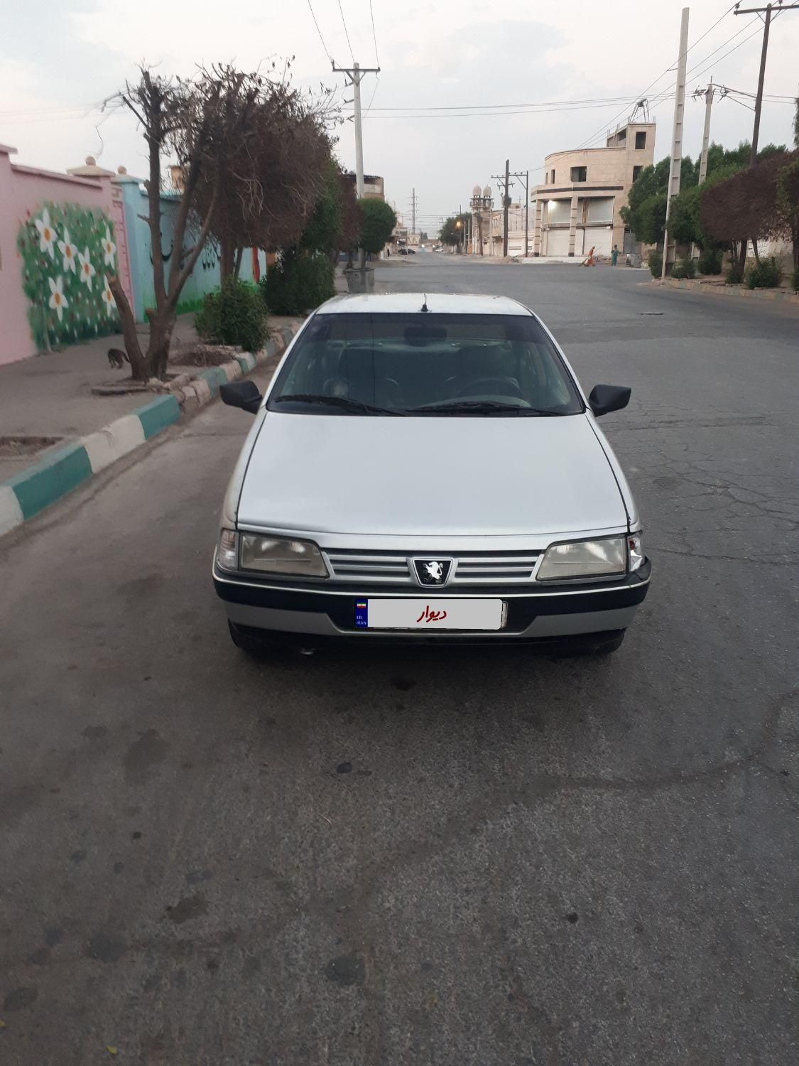 پژو 405 GL - دوگانه سوز CNG - 1391