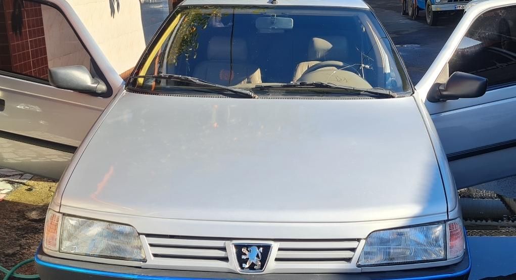 پژو 405 GL - دوگانه سوز CNG - 1393