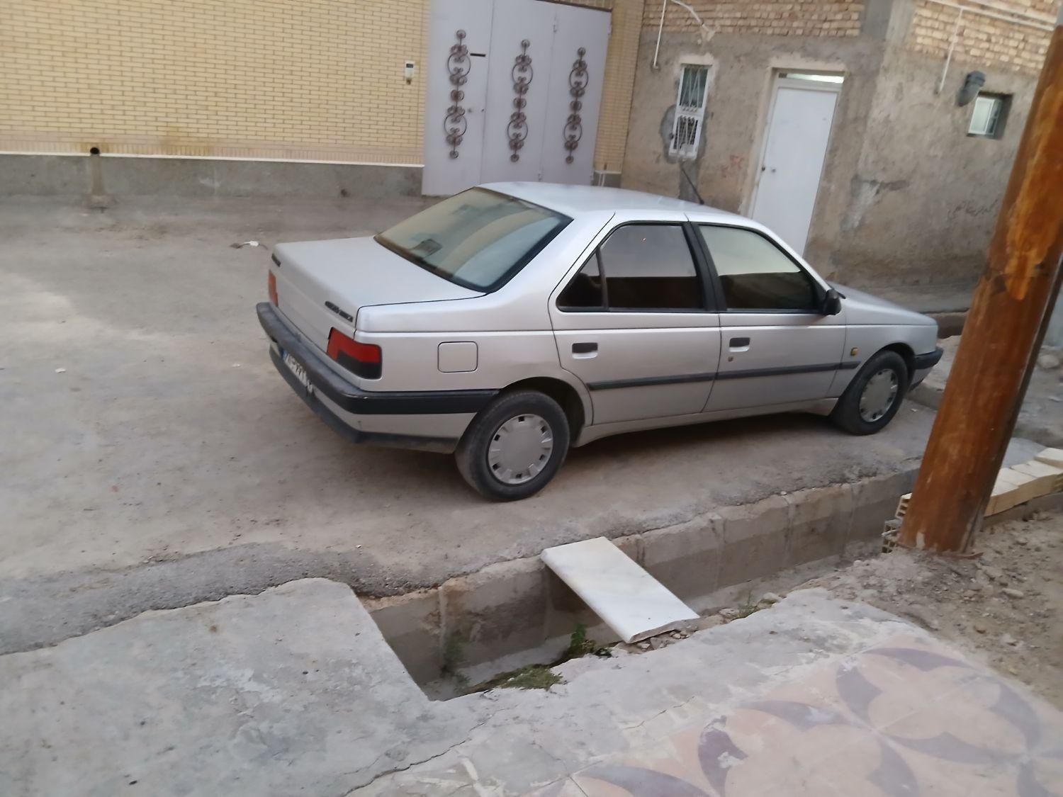 پژو 405 GL - دوگانه سوز CNG - 1391