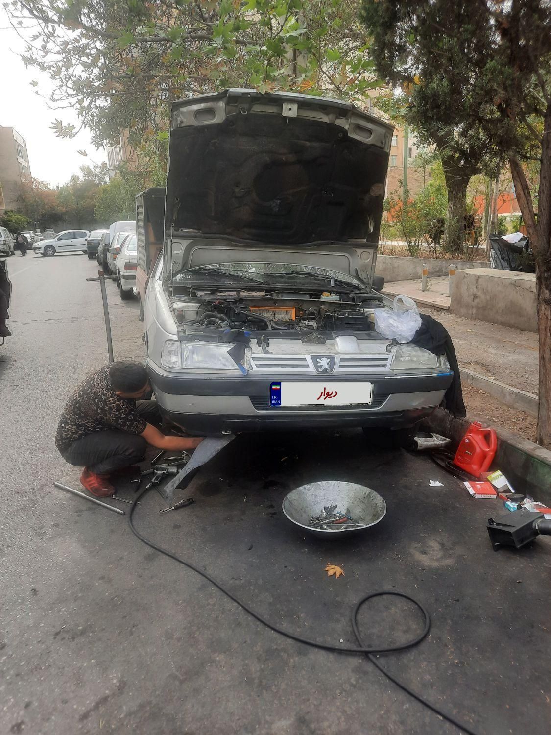 پژو 405 GL - دوگانه سوز CNG - 1383