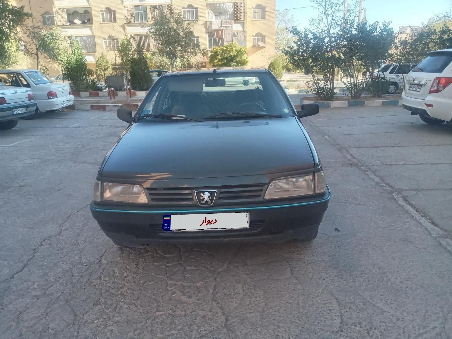 پژو 405 GLi - دوگانه سوز CNG - 1384