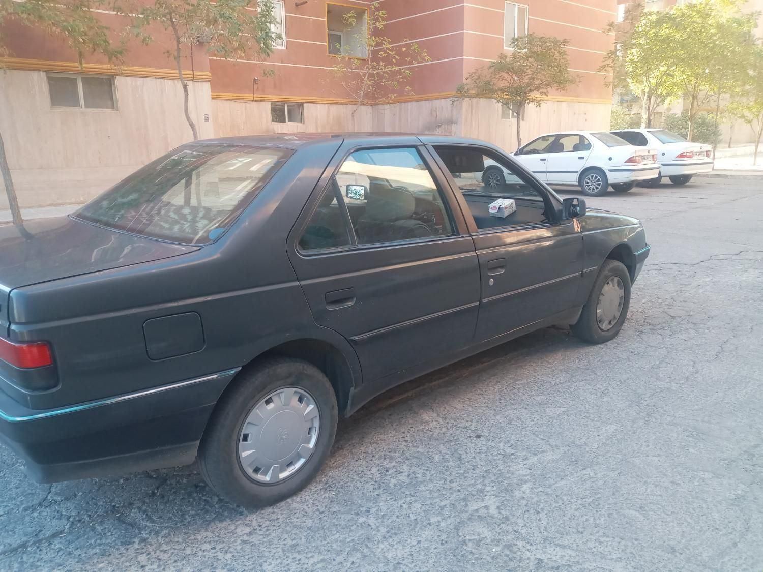 پژو 405 GLi - دوگانه سوز CNG - 1384