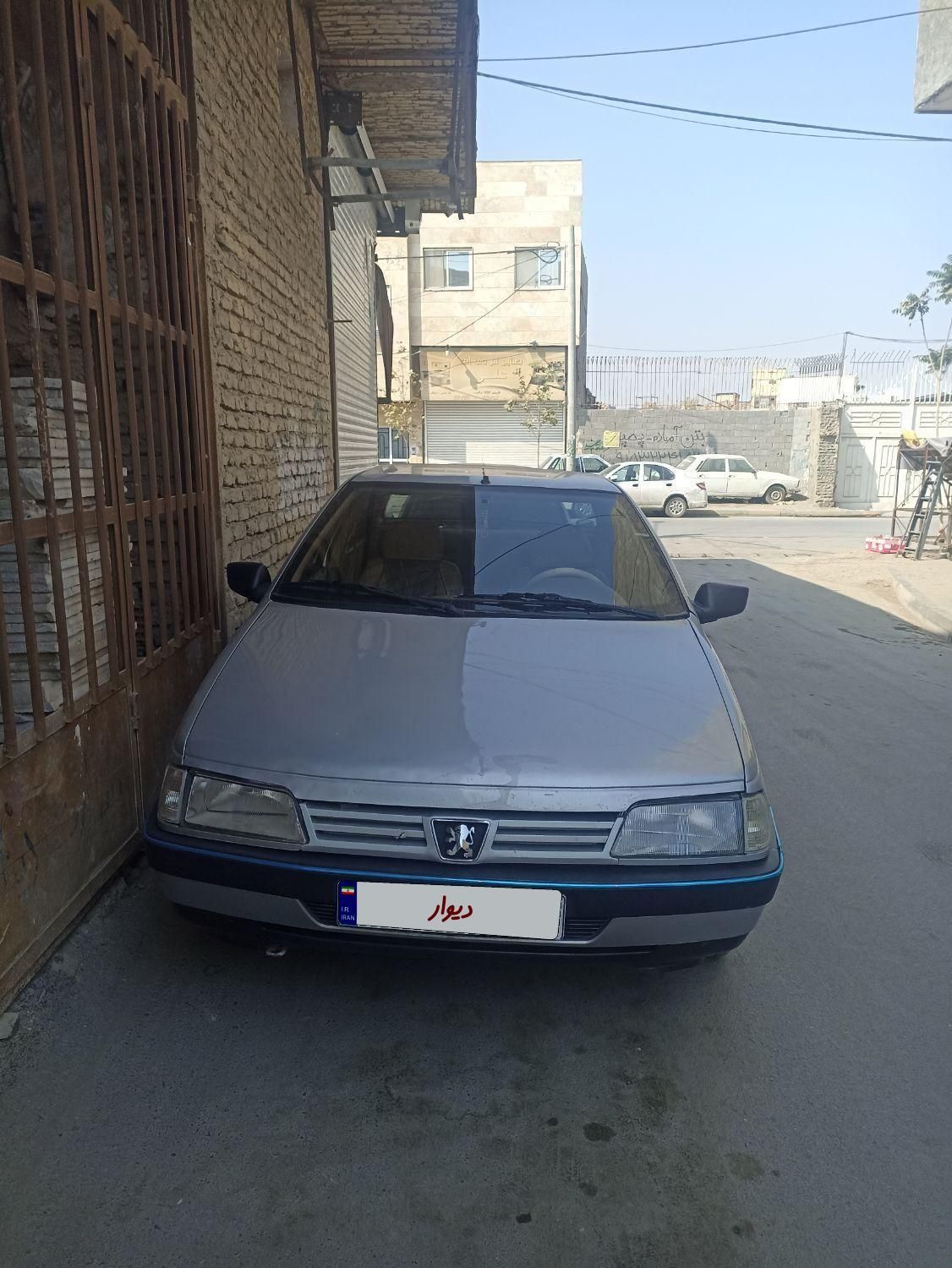 پژو 405 GL - دوگانه سوز CNG - 1393