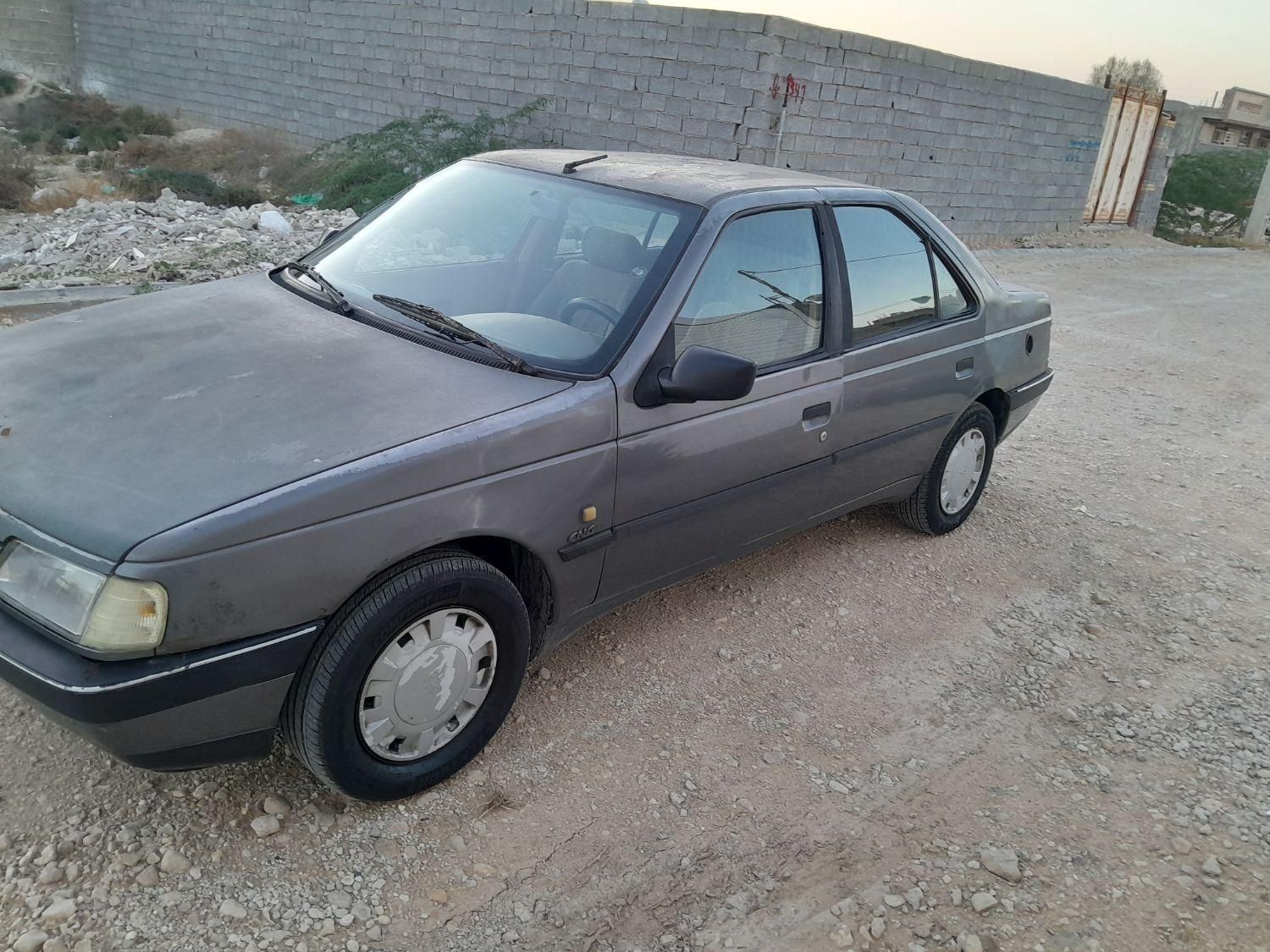 پژو 405 GL - دوگانه سوز CNG - 1391