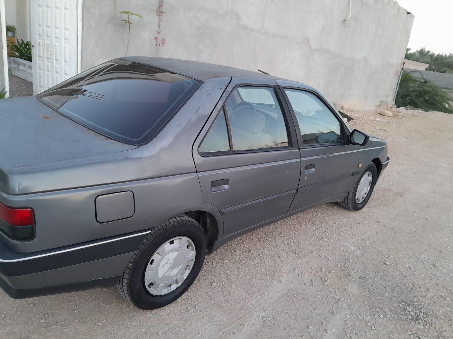 پژو 405 GL - دوگانه سوز CNG - 1391