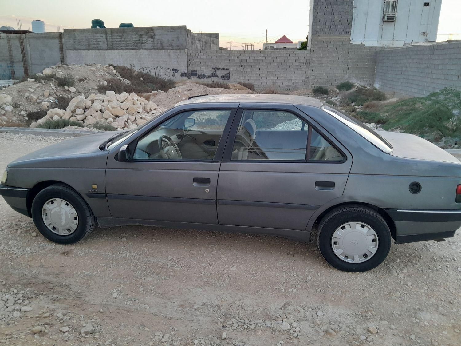 پژو 405 GL - دوگانه سوز CNG - 1391