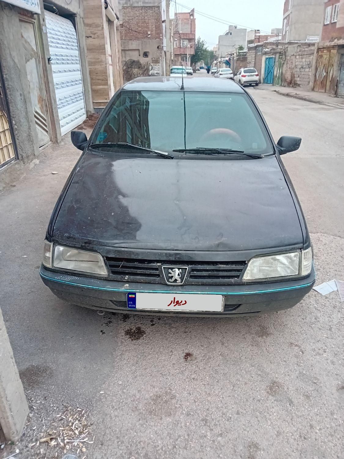 پژو 405 GLi - دوگانه سوز CNG - 1381