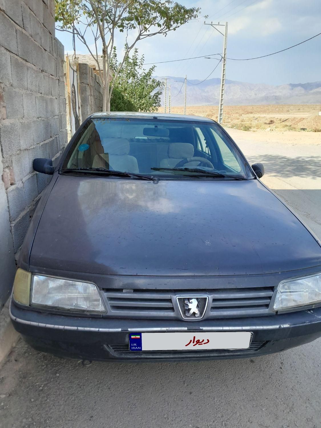 پژو 405 GLi - دوگانه سوز LPG - 1384