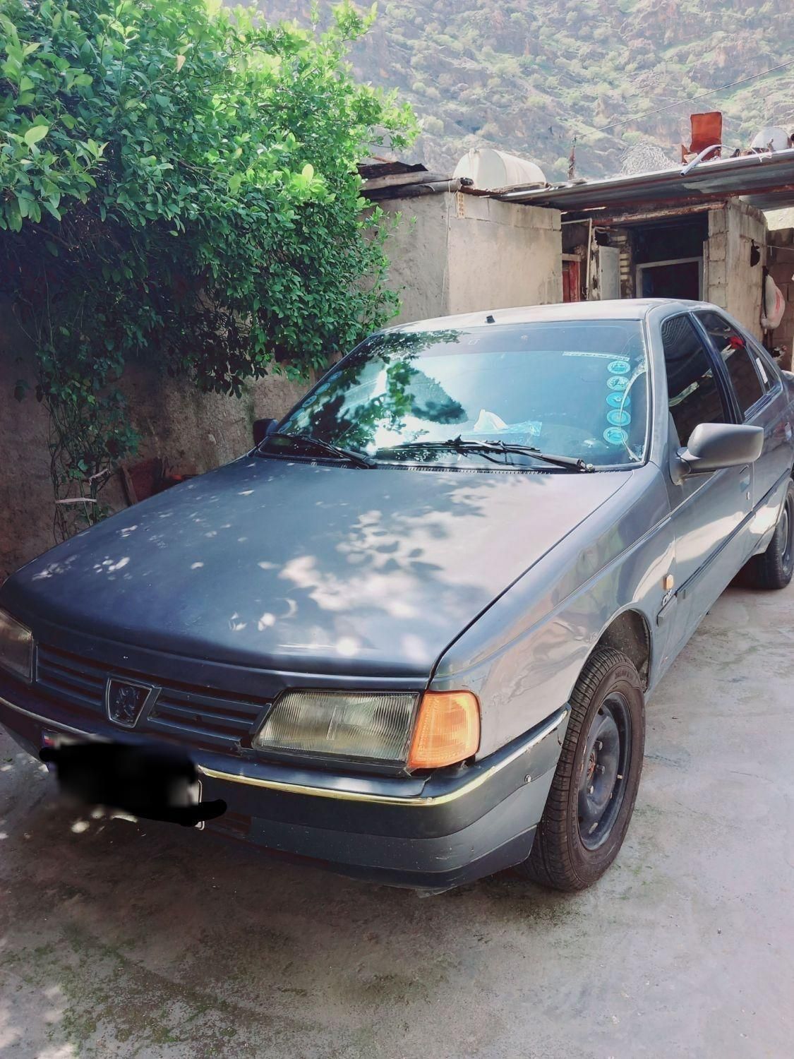 پژو 405 GL - دوگانه سوز CNG - 1395